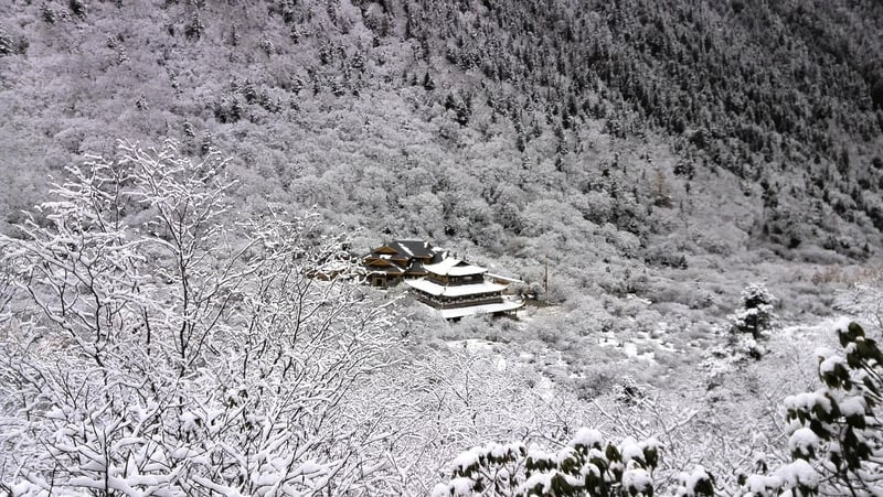 Forest Hideaway