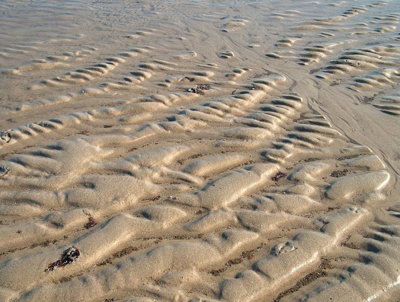Mindfulness Escape Image